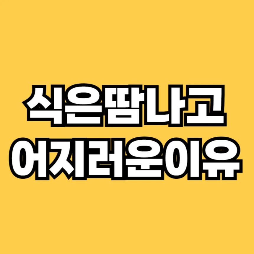 식은 땀이 나고 어지러운 이유