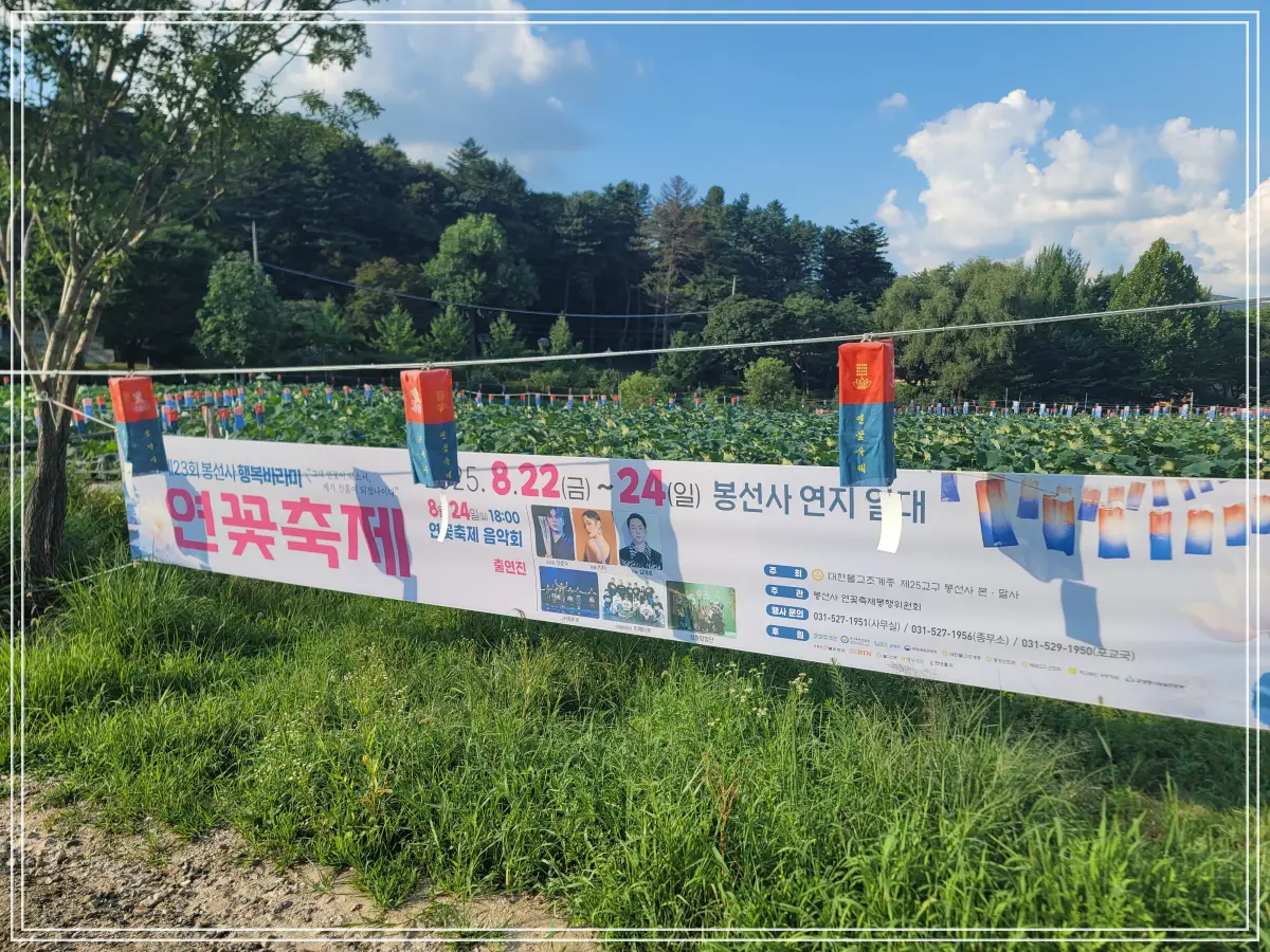 봉선사-연꽃축제-20250810_172234