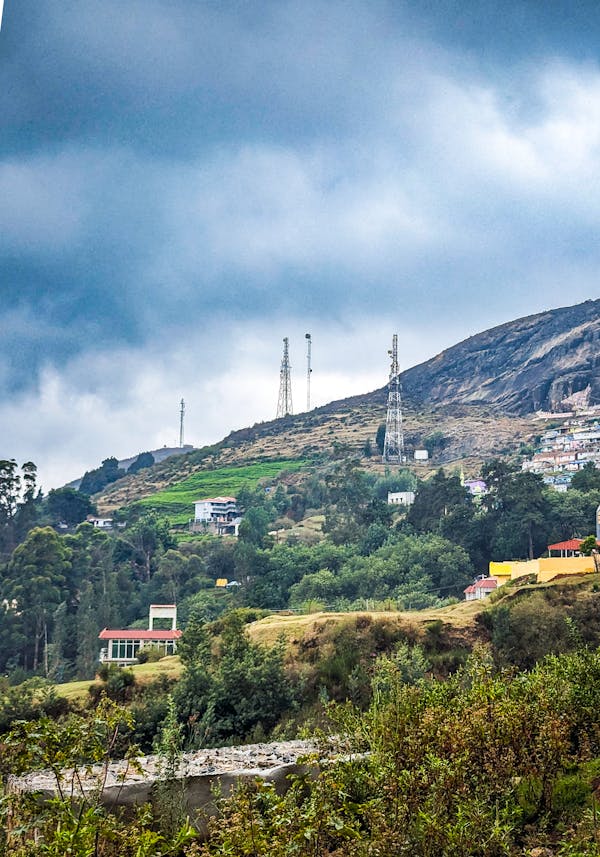 모바일네트워크