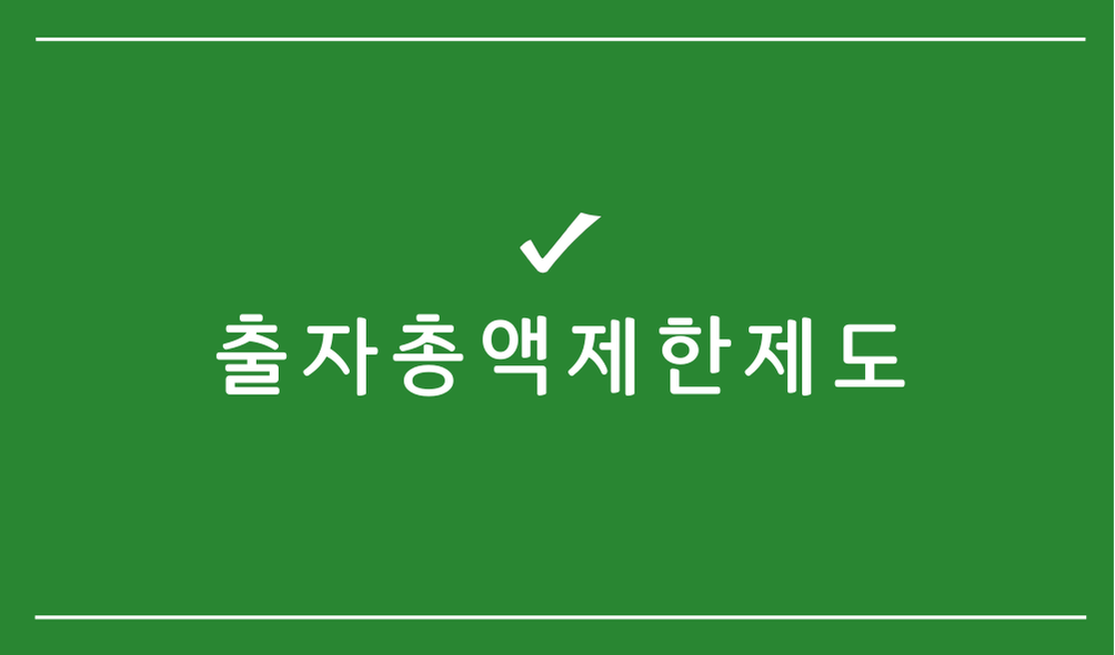 출자총액제한제도