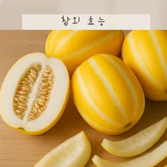 참외 효능 및 영양 정보 섭취 효과 정리_15