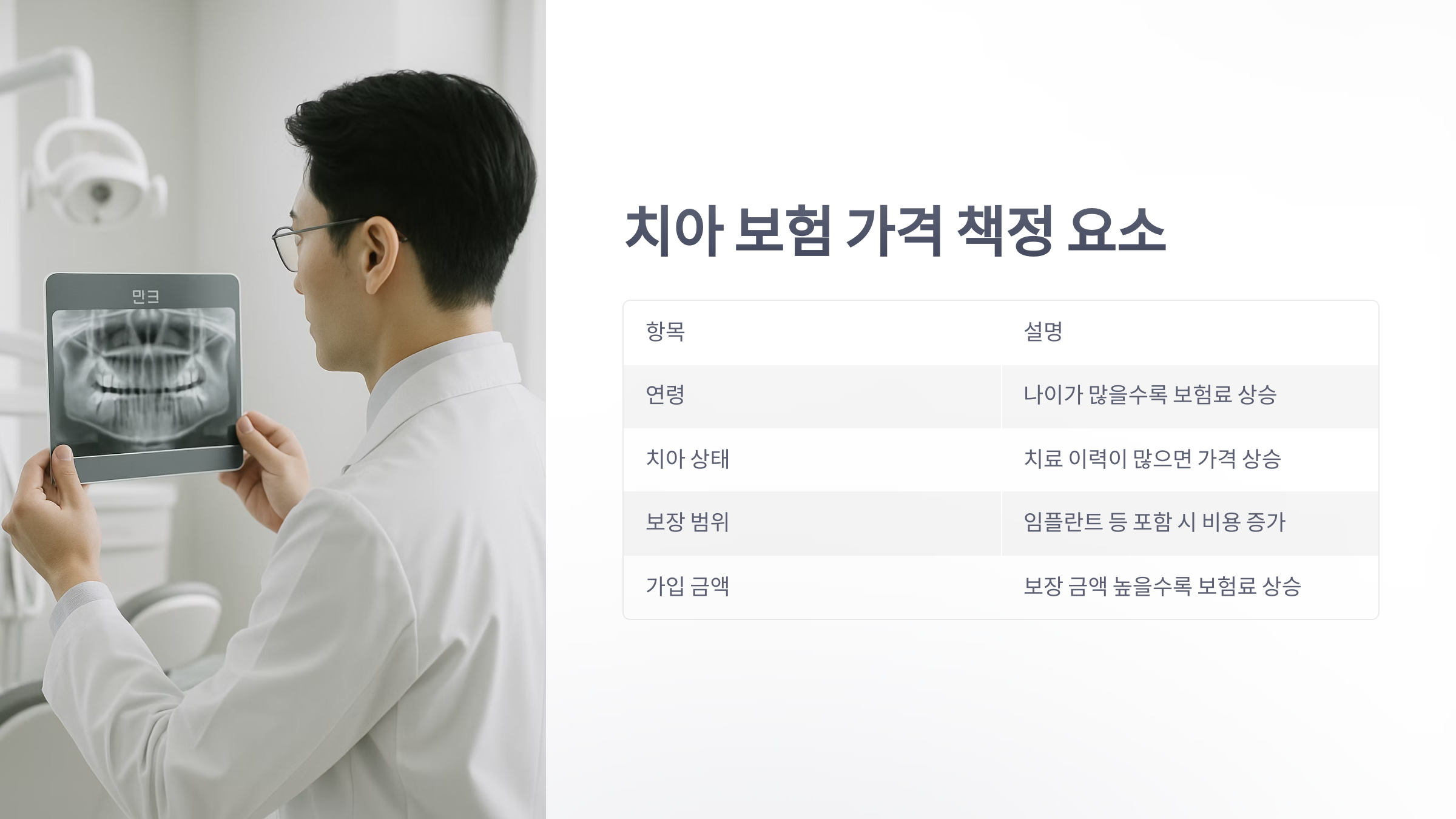 치아-보험-가격-05
