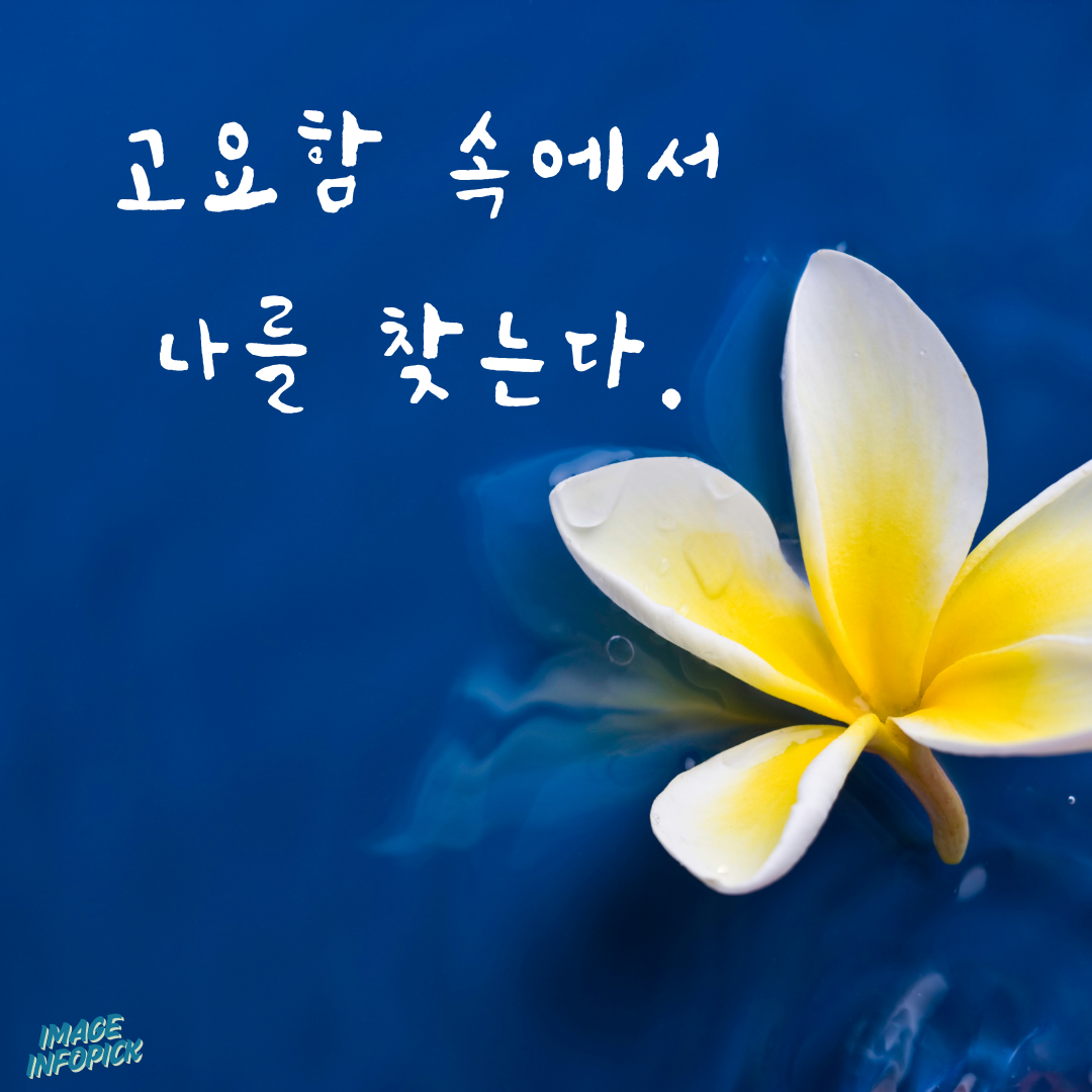 캘리그라피 글귀 모음 좋은 글