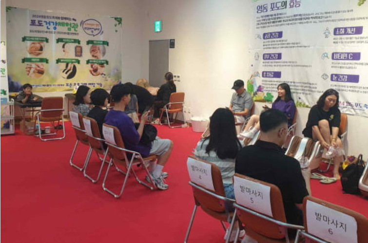 2025 영동포도축제, 오감만족 포도 체험의 성지!