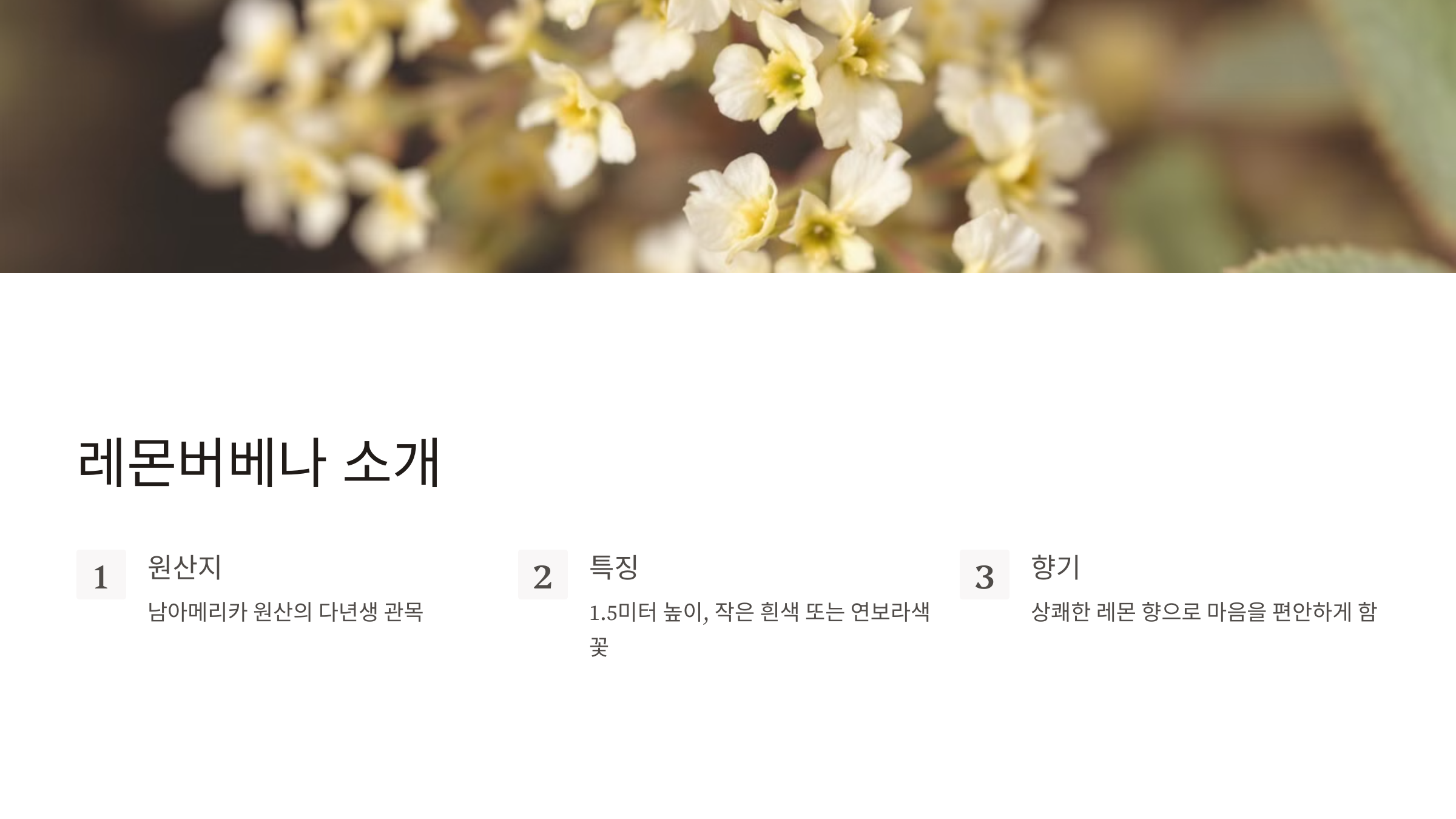 11월 13일의 탄생화