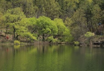 대구불로동고분군