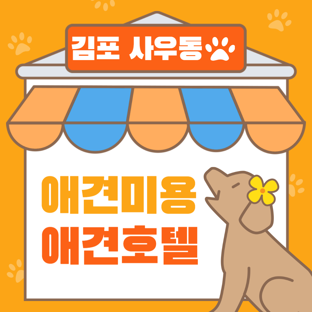 김포 사우동 애견미용 애견호텔