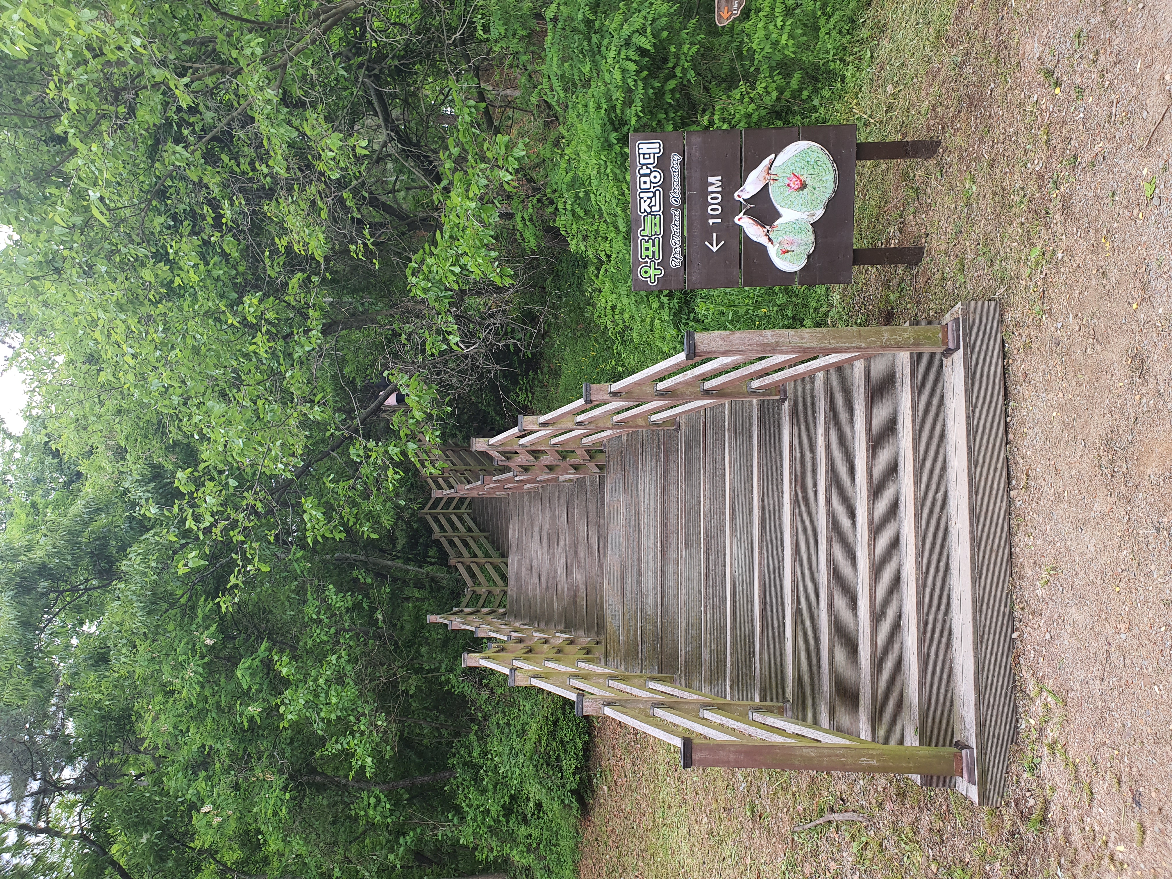 우포늪 생명길