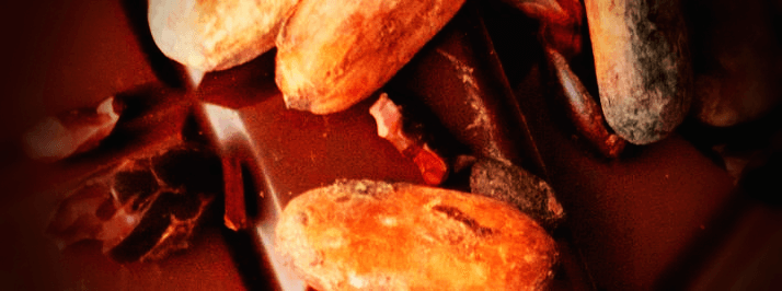 초콜릿-카카오-사진