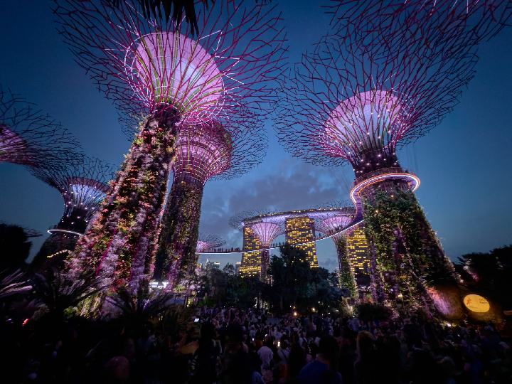 Garden Rhapsody - Gardens by the Bay