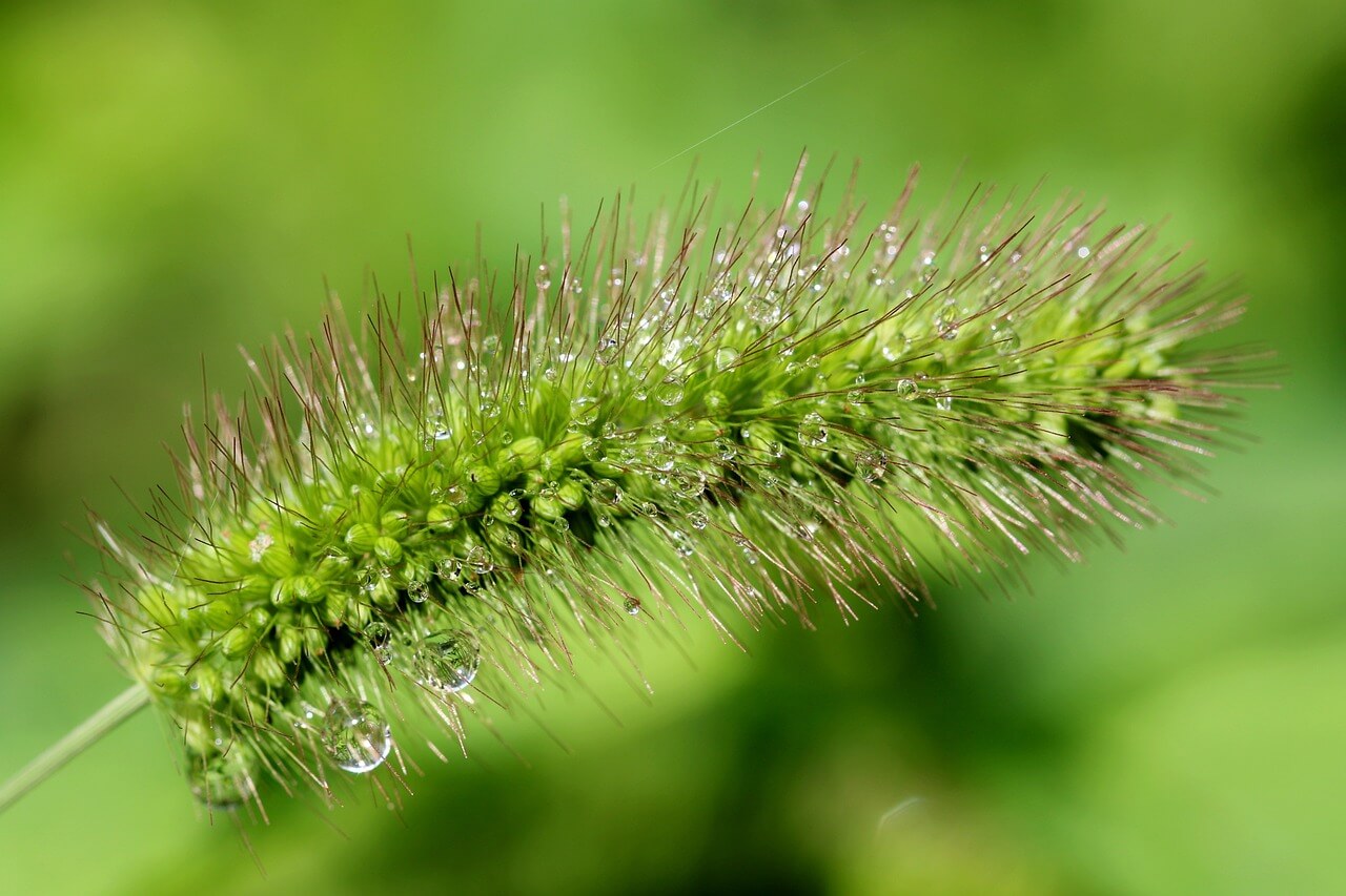 세종수목원 야간개장 예매하기