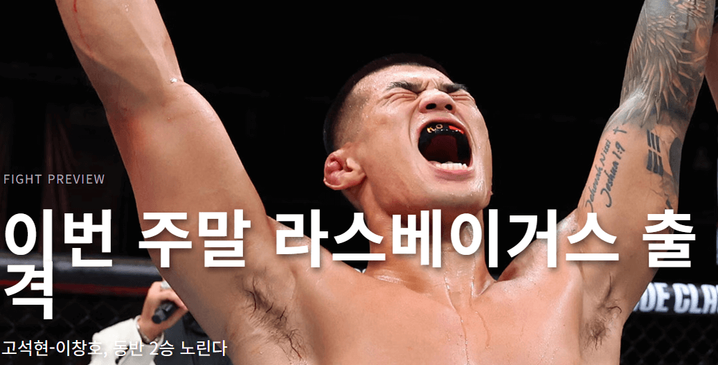 UFC Fight Night 263