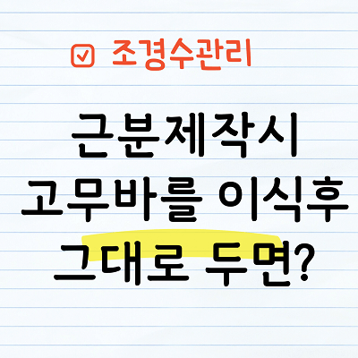 근분 제작 시 사용한 고무바를 이식 후 그대로두면?