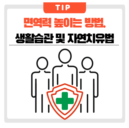 면역력높이는방법