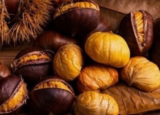 에어프라이어-밤굽기