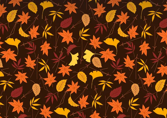 2023년 가을축제 단풍축제 추천 best3 (쁘띠프랑스 & 이탈리아마을)