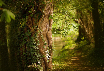 2025년 국민은행 부동산시세 확인 방법 4