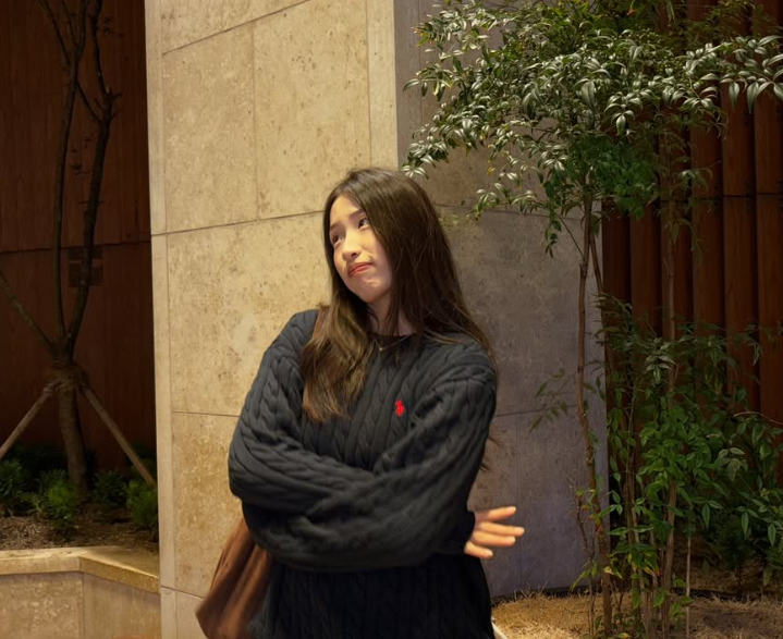 종합적으로 보면 인쿠시 기록의 본질