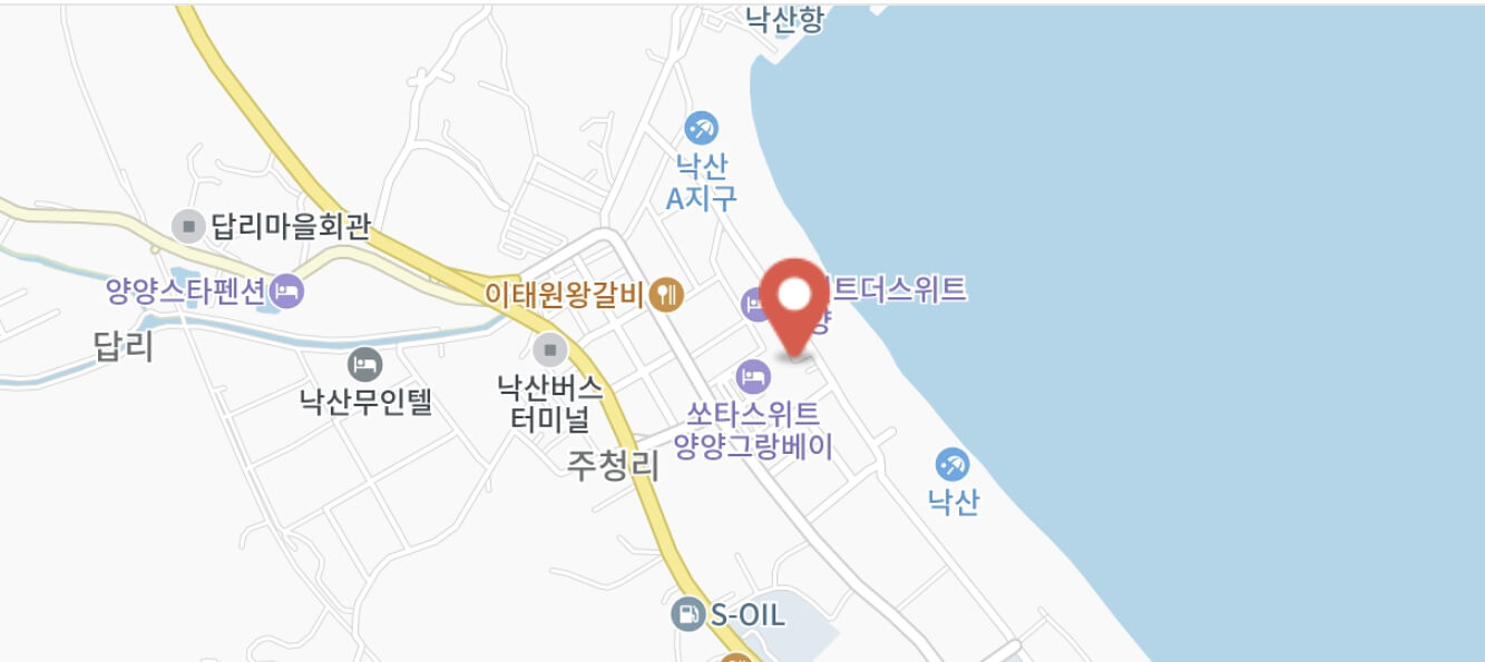 양양 서머 페스티벌 일정