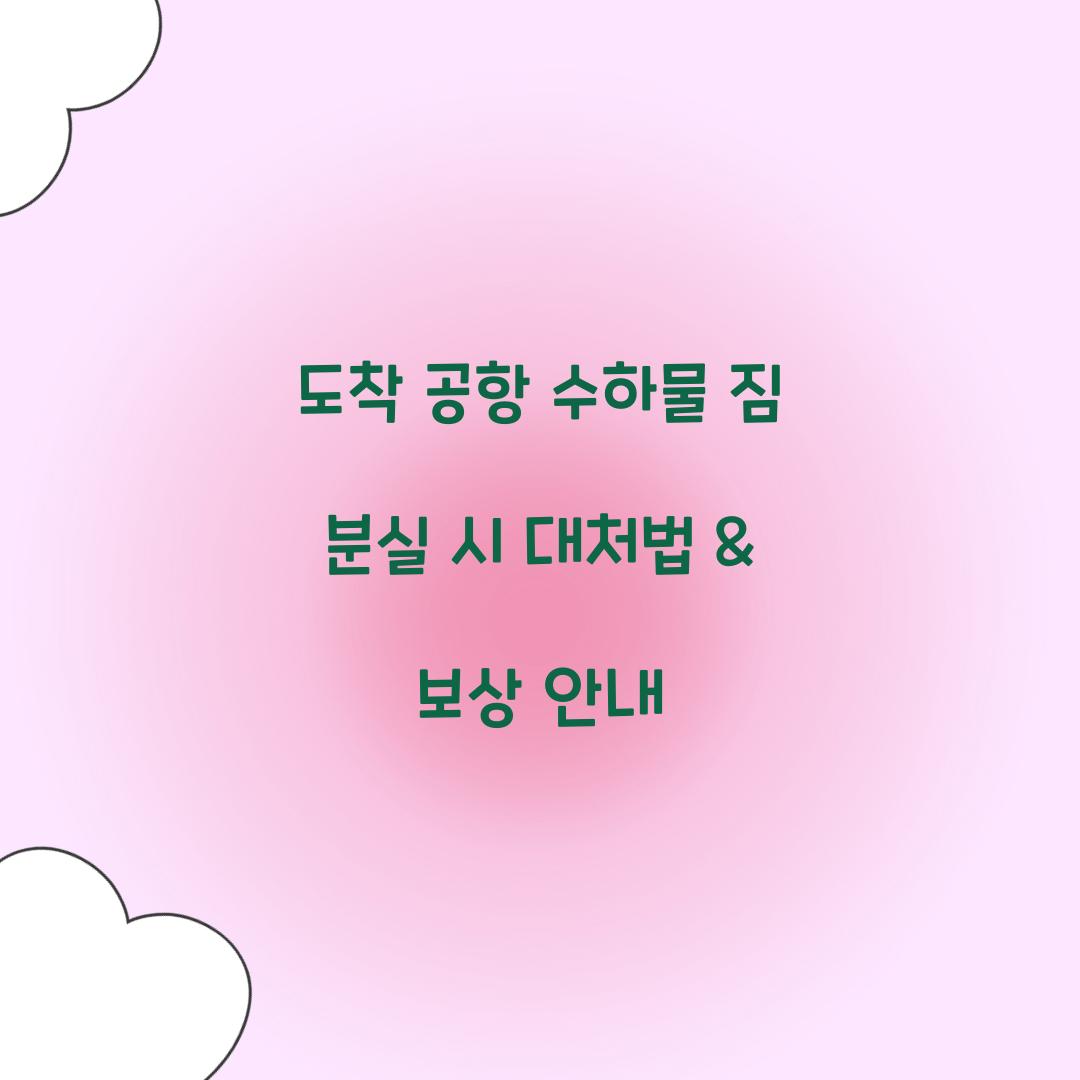 도착 공항 수하물 짐 분실