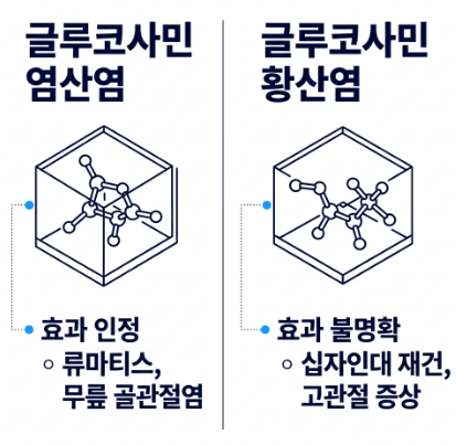 글루코사민의 효능