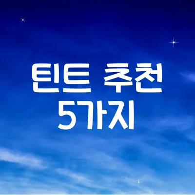 틴트 추천 5가지 ❘ 지속력 좋은 틴트 고르기