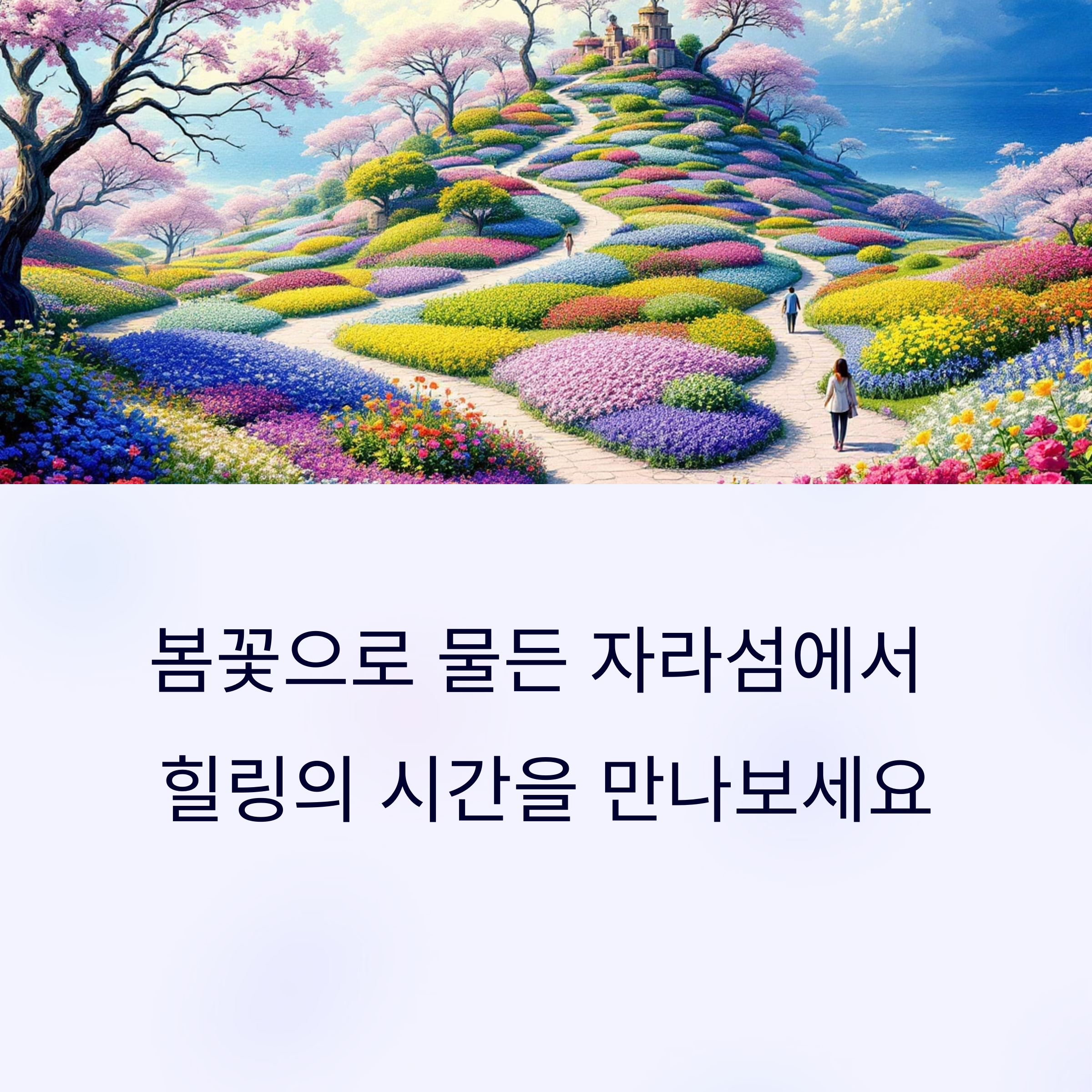 2025 자라섬 꽃 페스타 완벽 가이드