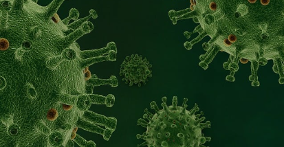 장내 미생물과 정신 건강의 관계 : 우리 몸의 장내 세균이 뇌와 감정에 미치는 영향