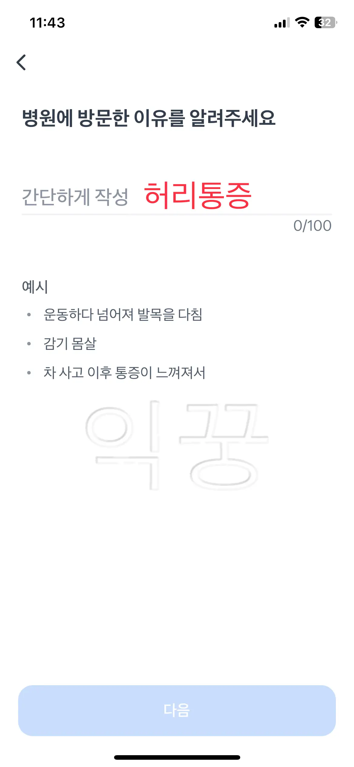 병원방문 이유 작성하는 화면