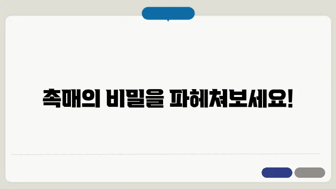 촉매 공학: 촉매의 역할과 응용