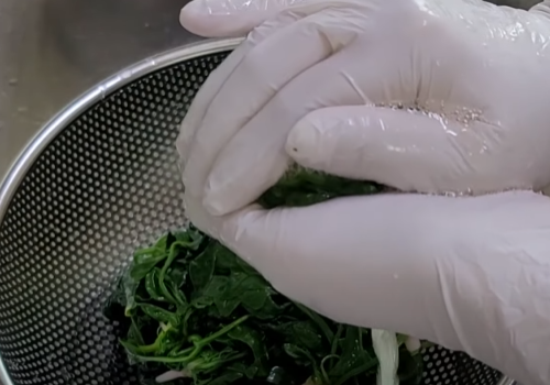 시금치에서 나온 물기 확인