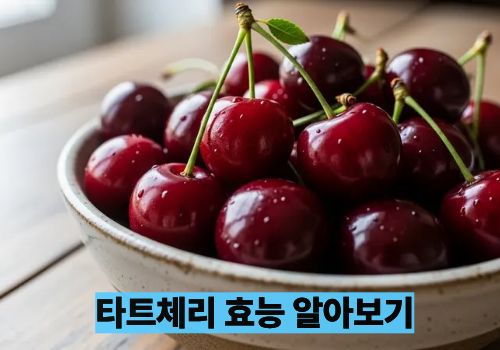 타트체리 효능 알아보기
