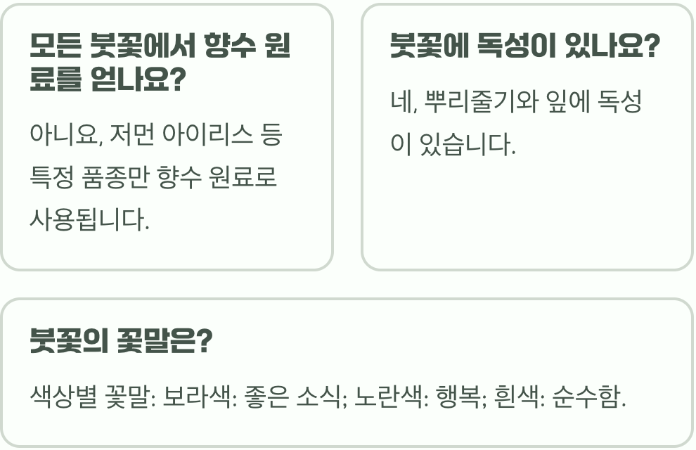 향수 원료로도 쓰이는 붓꽃(아이리스), 매력적인 향기의 비밀과 품종