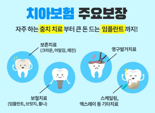 치아보험-비교