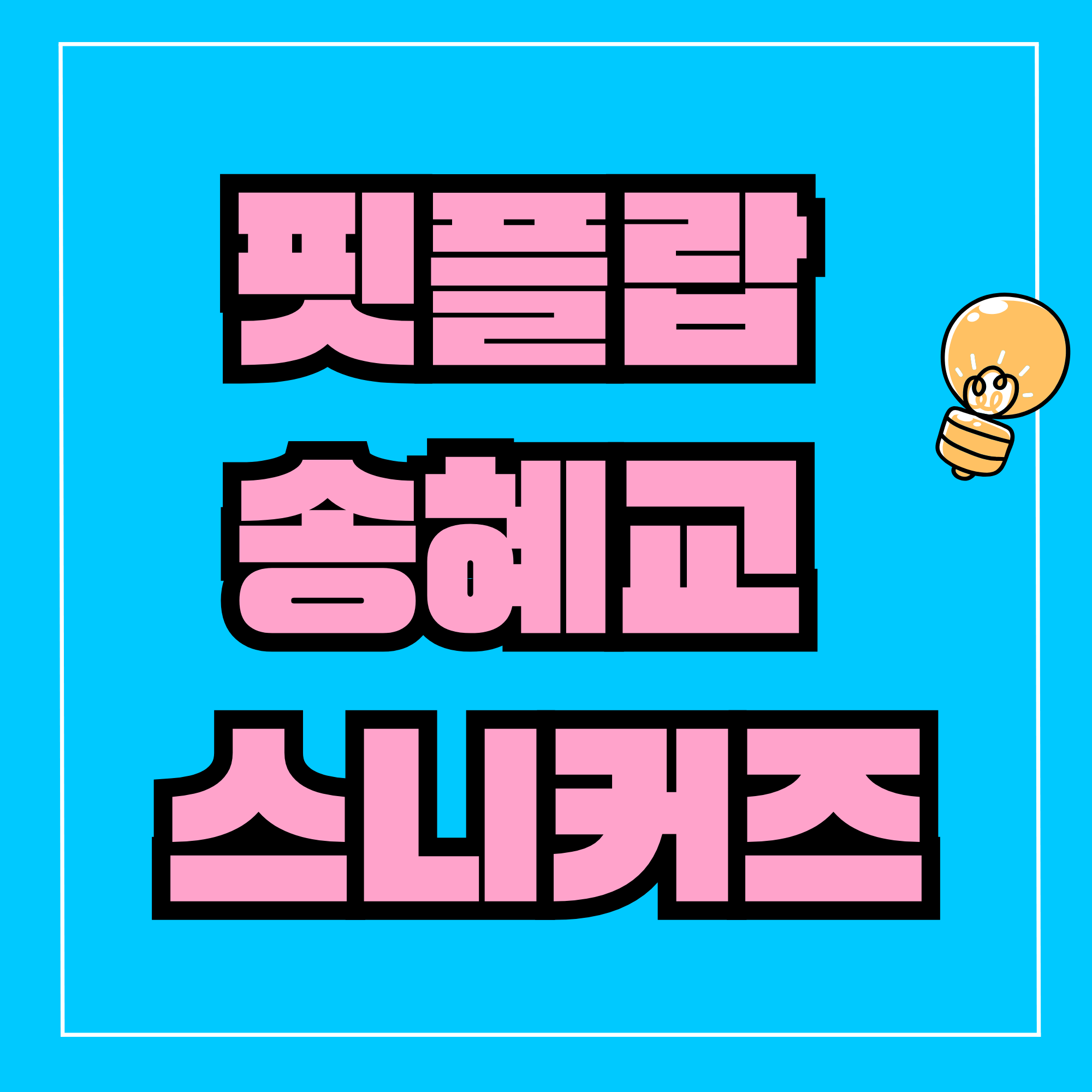 핏플랍 송혜교 스니커즈