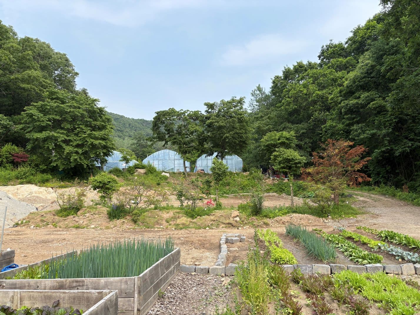 지평오차드 셀프 바베큐장