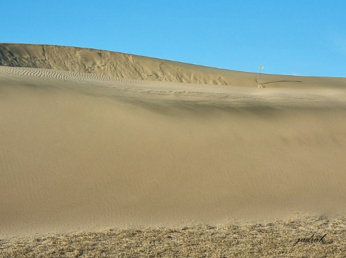태안 신두리 해안사구 사진