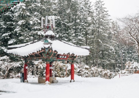 1월 산행지 추천: 눈산행지 좋은곳 겨울의 매력을 느낄 수 있는 산