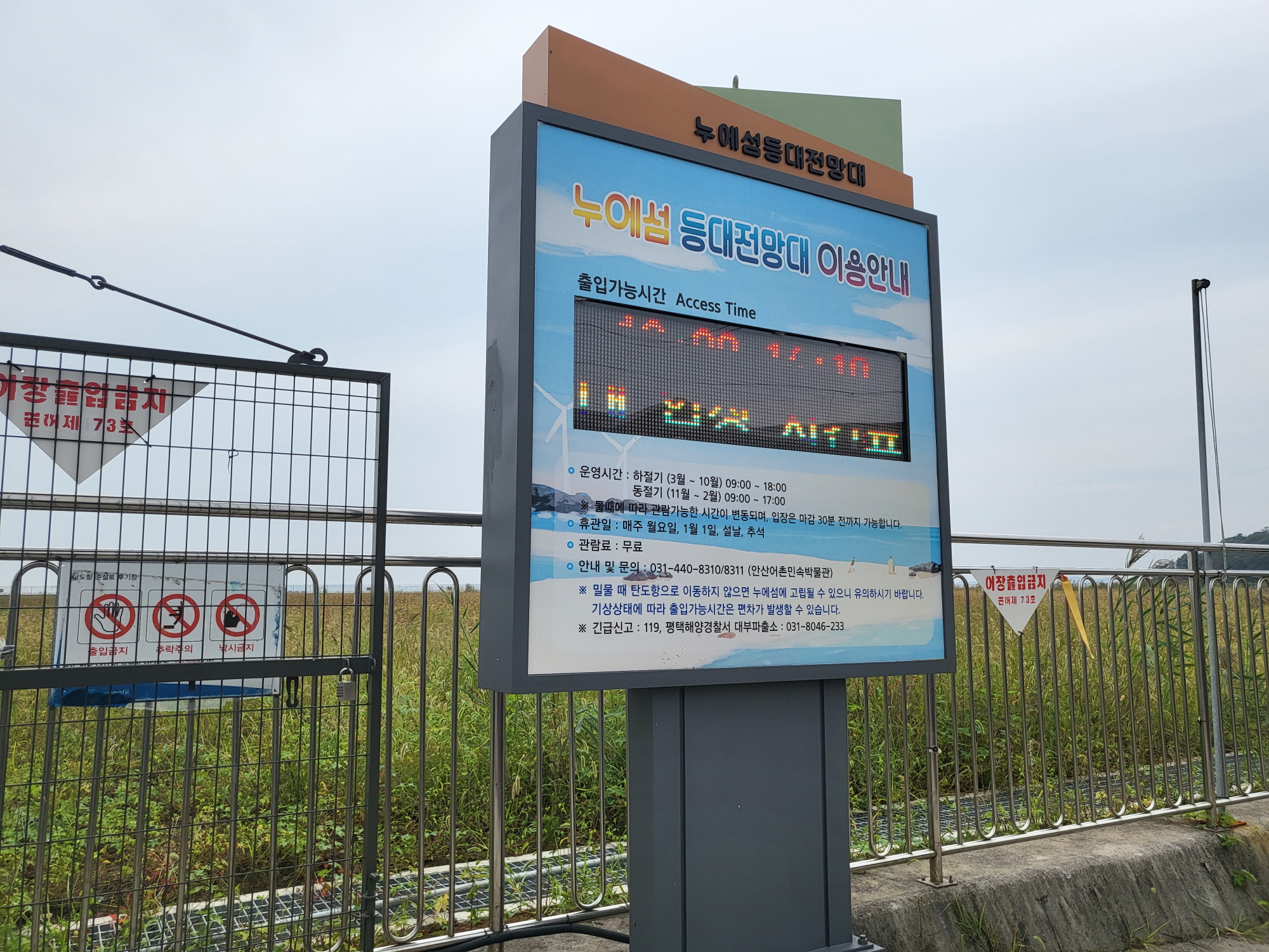 탄도항 - 전망대