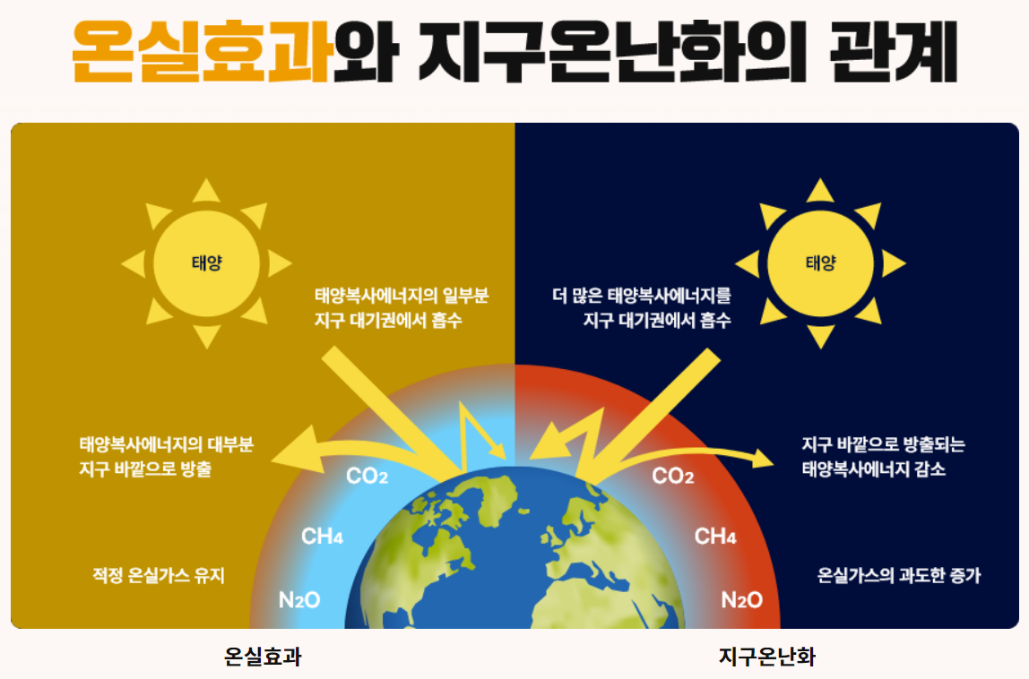 탄소중립포인트