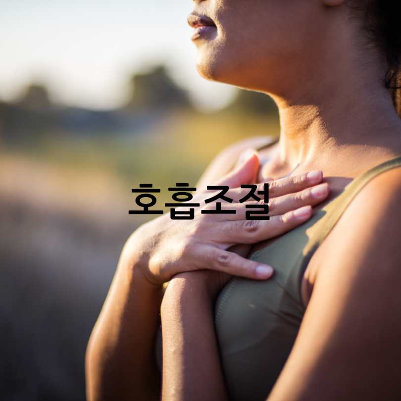 노인필라테스