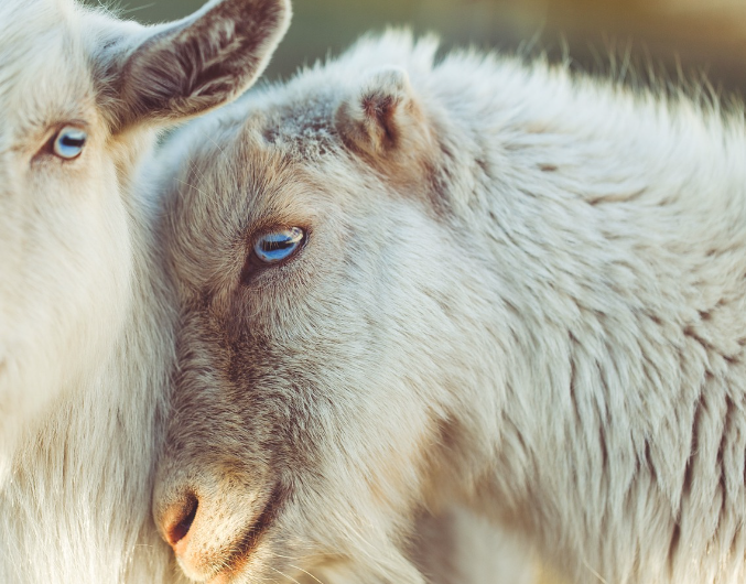 띠별운세 11월 3일