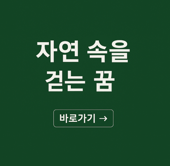 자연 속을 걷는 꿈