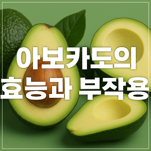 아보카도의 효능과 부작용