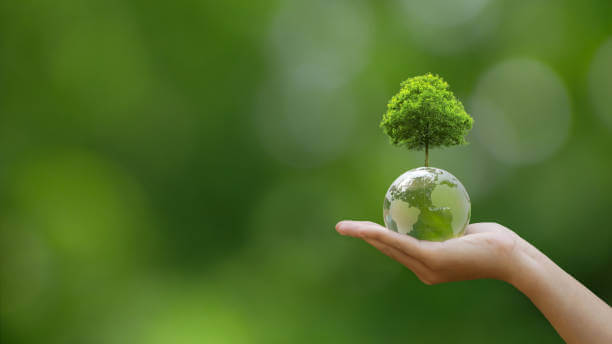 탄소중립포인트제