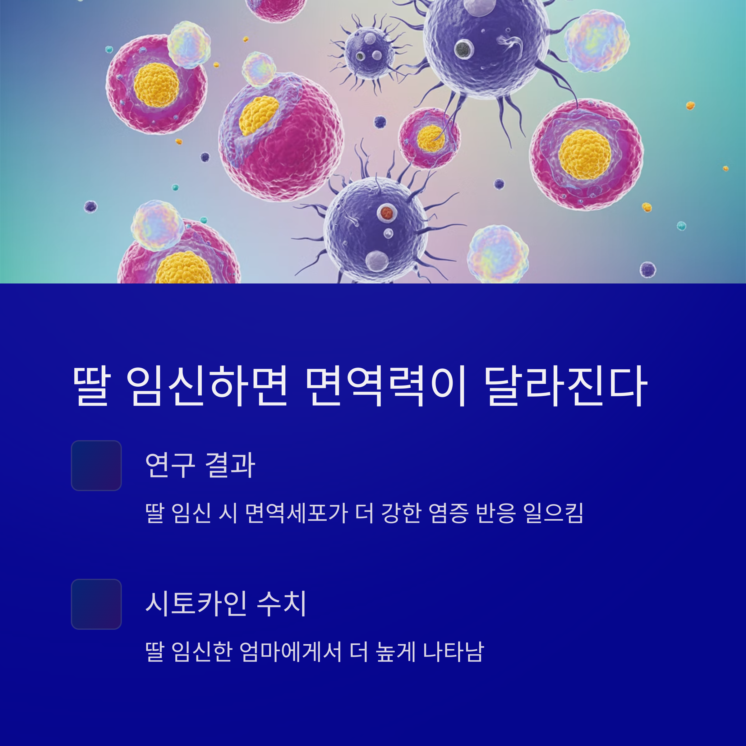 딸 임신 시 면역세포 반응과 시토카인 수치 차이를 설명한 이미지