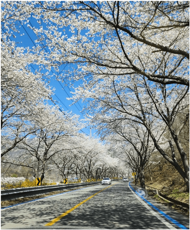 국내 여행지 추천
