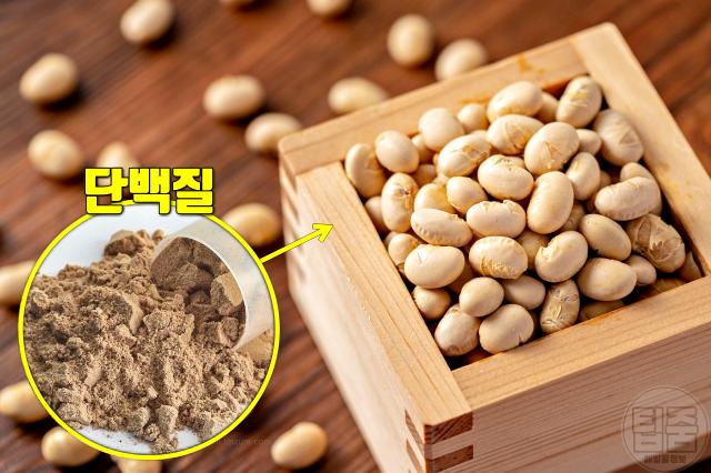 머리숱 많아지는 음식 탈모에 좋은 영양소 콩단백질