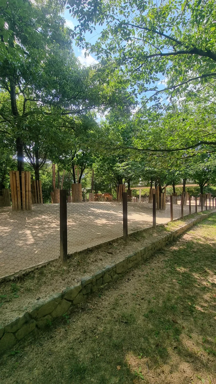 서울숲 사슴
