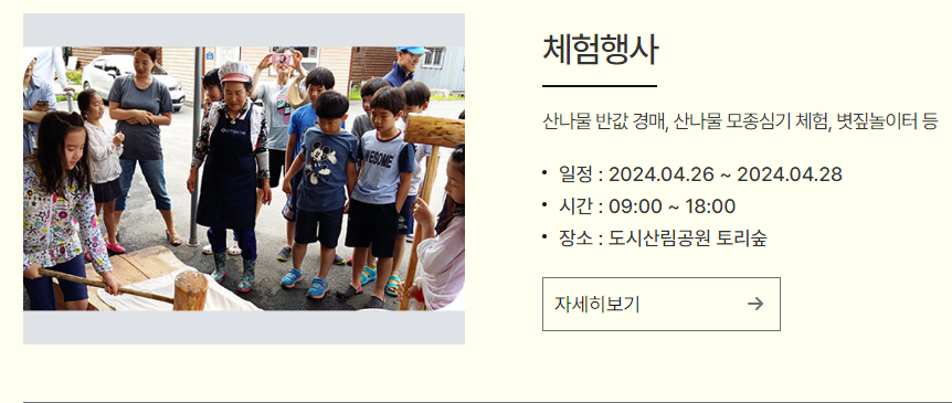 강원 N 홍천 산나물 축제 프로그램